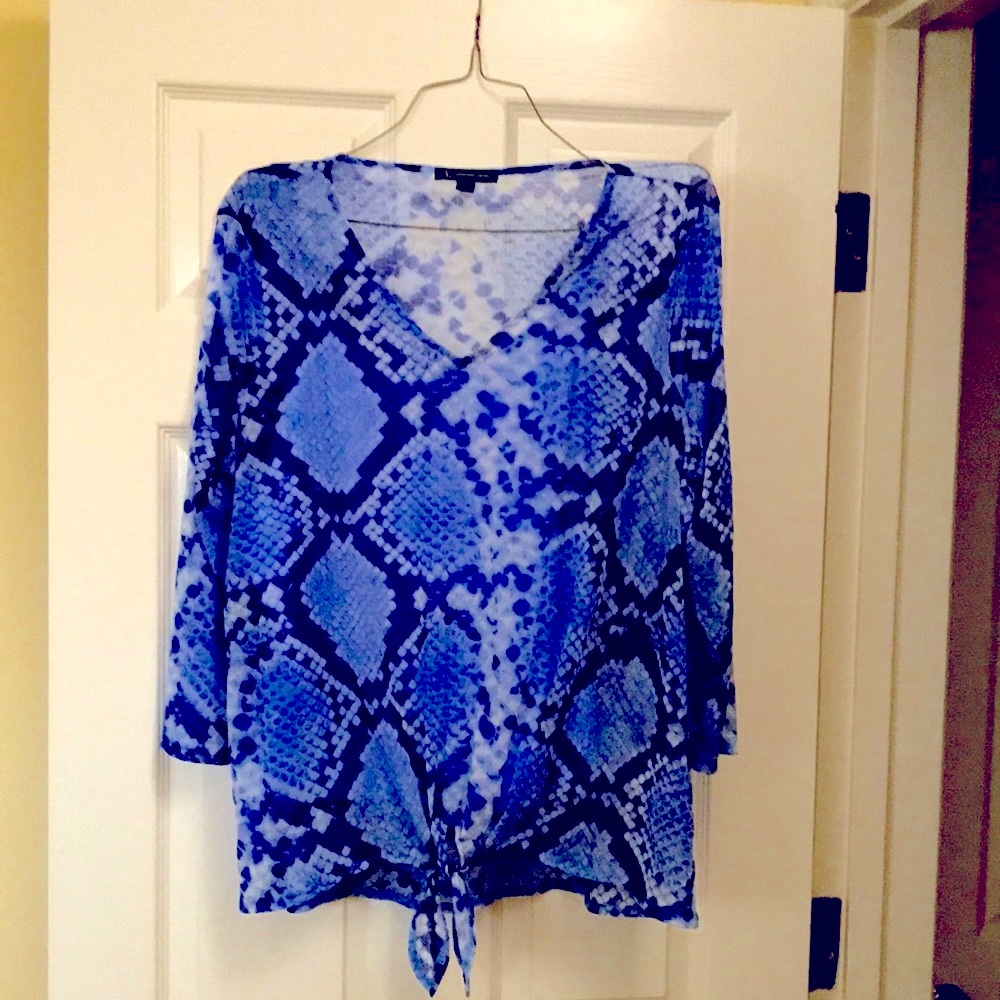Blue mixed sheer fabric top
